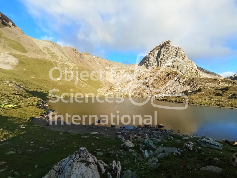 Keywords: Biodiversité, Nature au Sommet, NAS, Transect, Val d'Anniviers, Suisse, Toûno, Bivouac, Itinérance