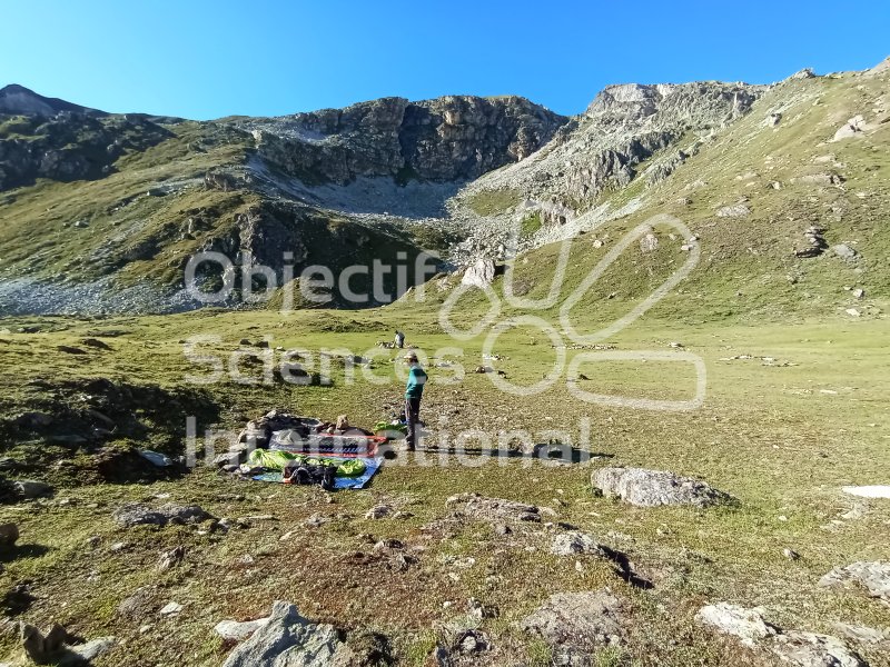 Keywords: Biodiversité, Nature au Sommet, NAS, Transect, Val d'Anniviers, Suisse, Toûno, Bivouac, Itinérance