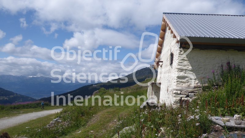 Keywords: Biodiversité, Nature au Sommet, NAS, Bivouac, Itinérance, Suisse, Val d'Anniviers, Choucas