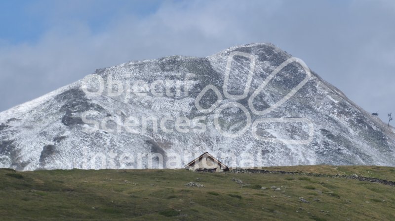 Keywords: Biodiversité, Nature au Sommet, NAS, Bivouac, Itinérance, Suisse, Val d'Anniviers, Choucas