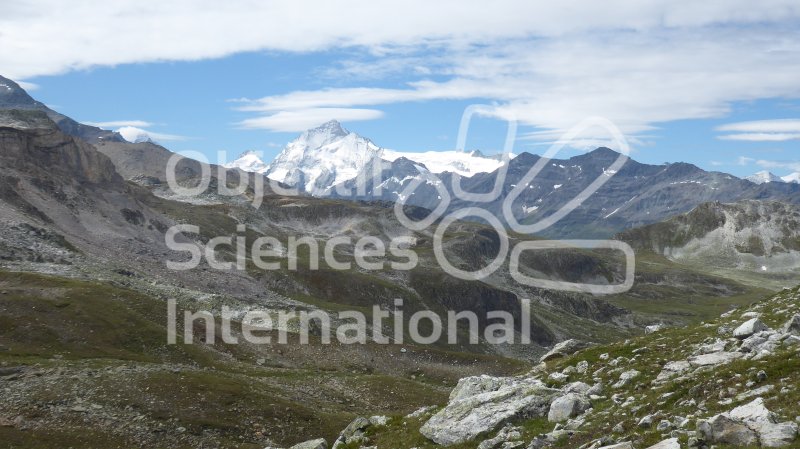 Keywords: Biodiversité, Nature au Sommet, NAS, Bivouac, Itinérance, Suisse, Val d'Anniviers, Choucas
