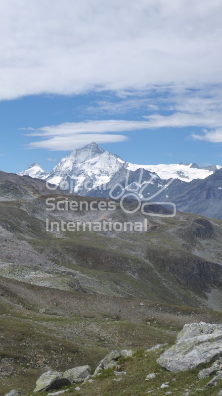 Keywords: Biodiversité, Nature au Sommet, NAS, Bivouac, Itinérance, Suisse, Val d'Anniviers, Choucas