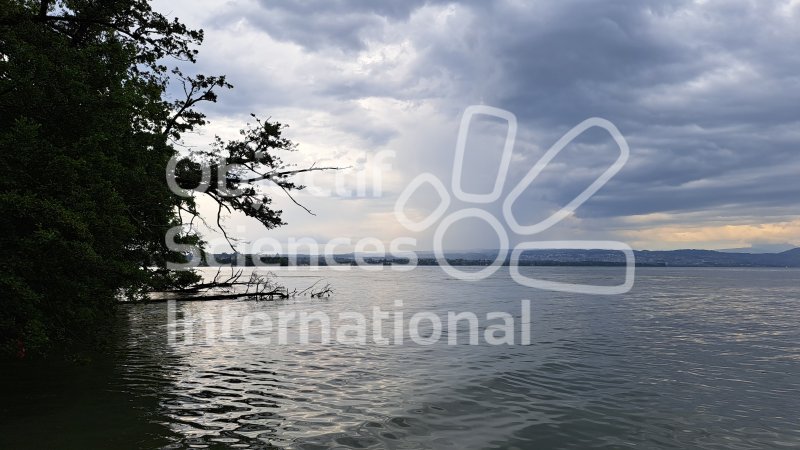 Keywords: paysage,lac,Léman