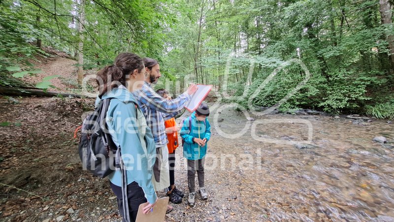 Keywords: groupe,forêt,rivière,nature,science