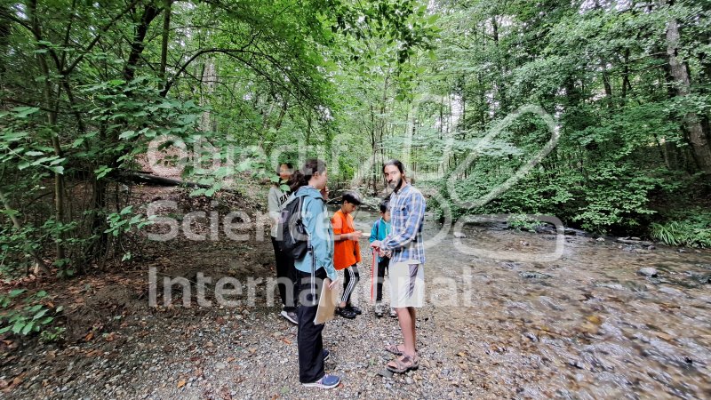 Keywords: groupe,forêt,rivière,nature