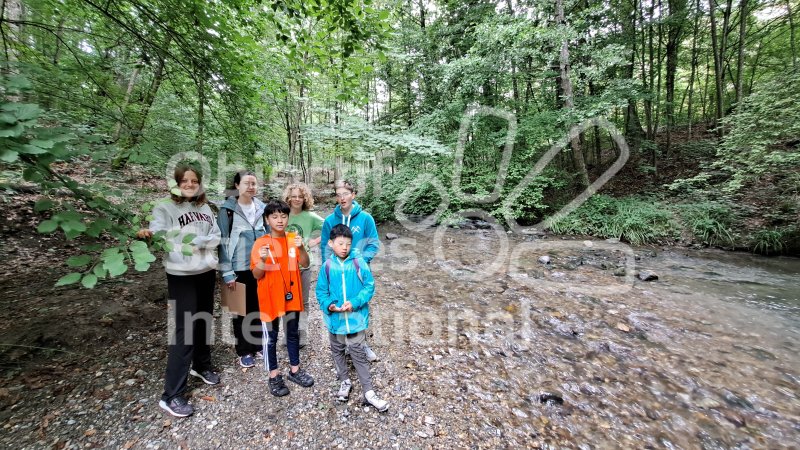 Keywords: groupe,forêt,rivière,nature