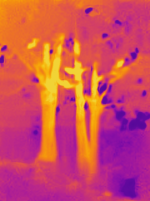 Keywords: thermal caemra,infrarouge,electronique,arbres