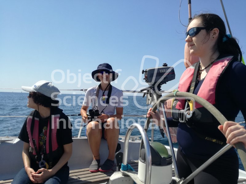 Navigation et observation sous beau temps
