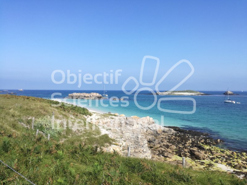 Plage de l'île St-Nicolas (Archipel du Glénan)
