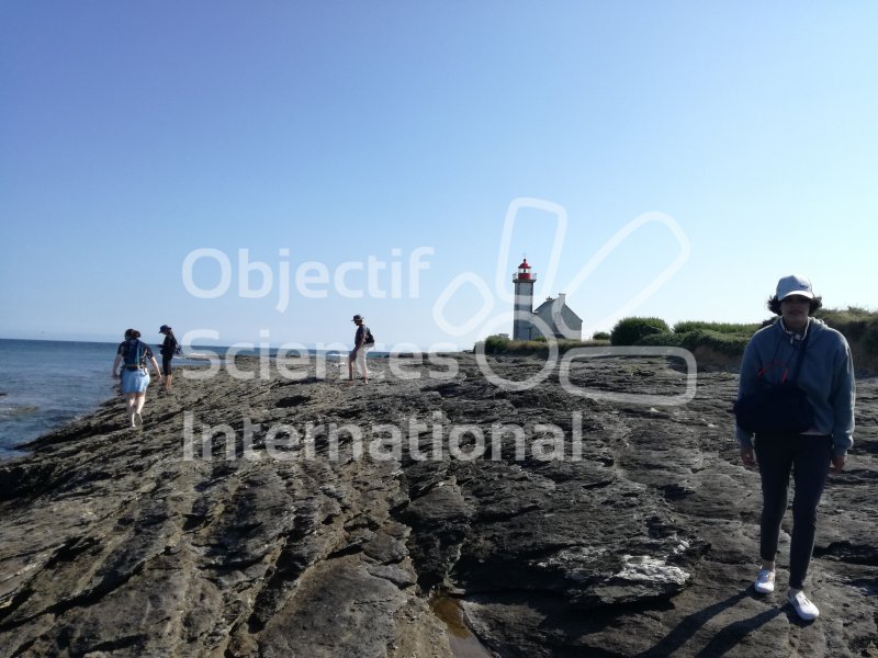 Côte rocheuse et le phare de la pointe des Chats - Ile de Groix
