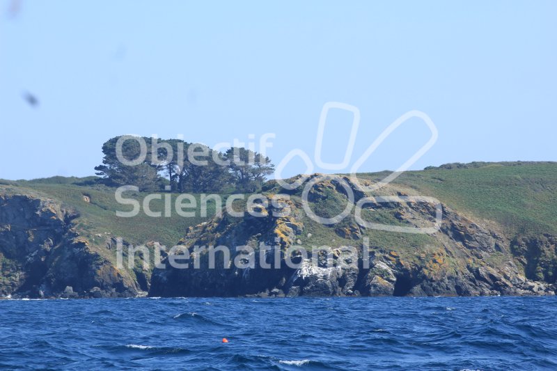 Approche des côtes de l'île de Groix
