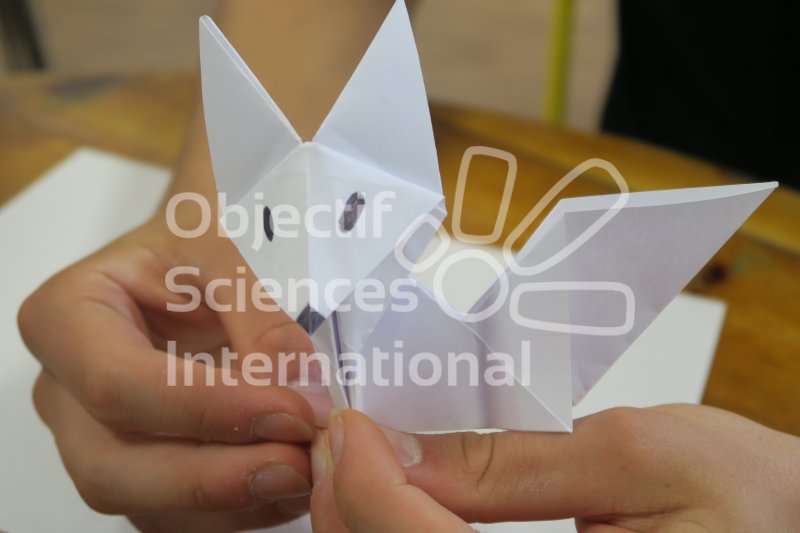 Origami pour le poster
