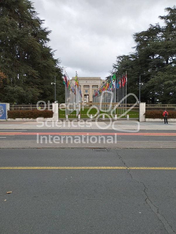 L'allée des drapeaux devant l'ONU
