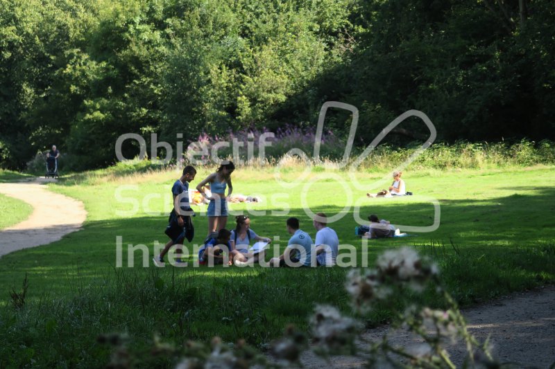 Interviews à Hampstead Heath
Keywords: Excellence,Interview,Journalism,Journalisme