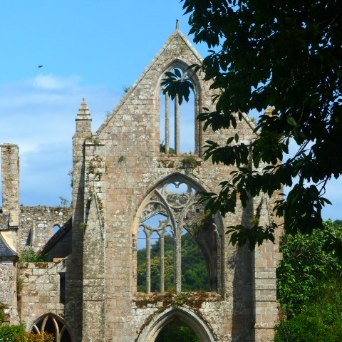 2023-07-14-visite_abbaye.JPG