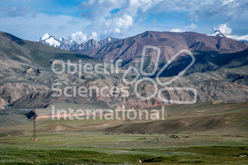 2023.07 - KIR - 247
Keywords: Kirghizistan, panthera, OSI, Sarychat, Baptiste