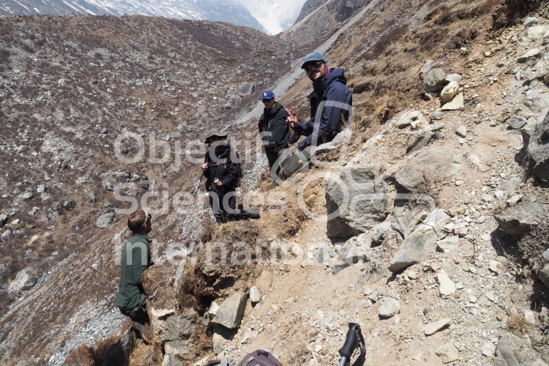 P1011689
Keywords: Langtang, Sarah, Panthère, Neige, Himalaya, Piège photographique 