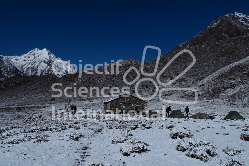 P1011702
Keywords: Langtang, Sarah, Panthère, Neige, Himalaya, Piège photographique 