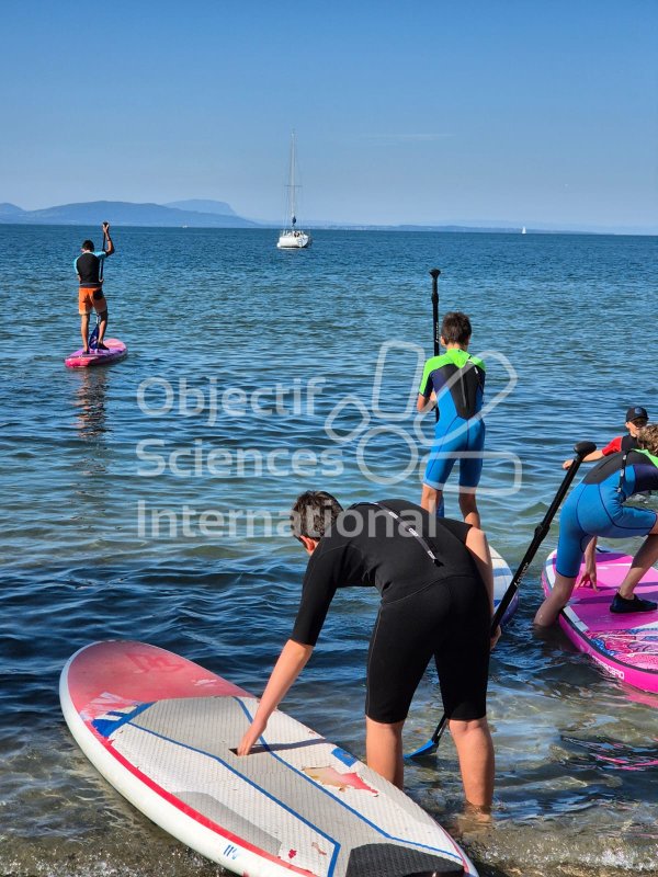 Sport du mardi
