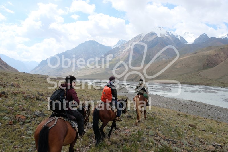 Keywords: paysage,chevaux