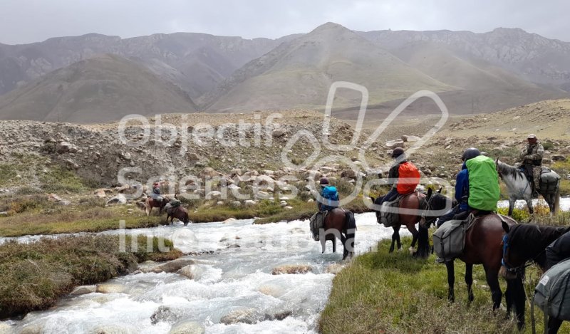 Keywords: paysage,chevaux,rivière