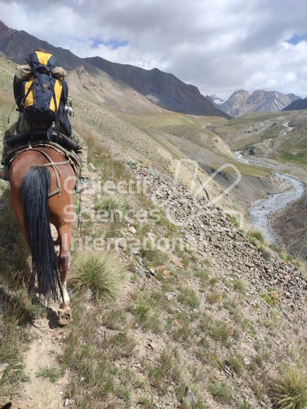 Keywords: paysage,chevaux