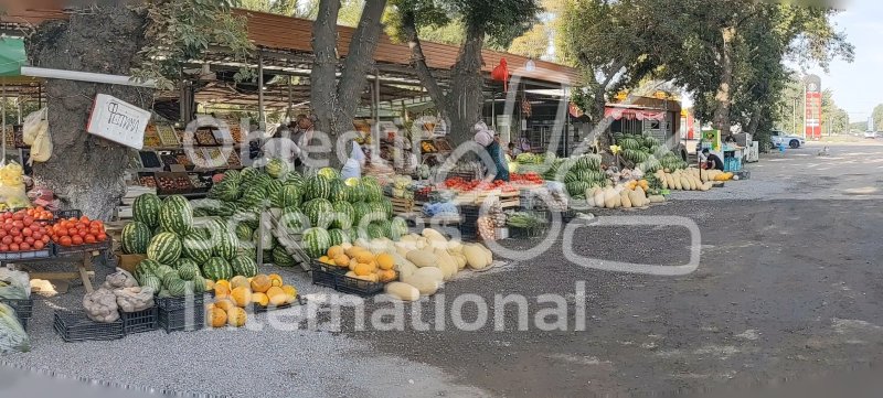 Keywords: Culture,marché