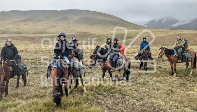 Keywords: Groupe,cheval