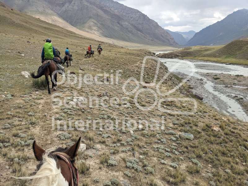 Keywords: paysage,chevaux