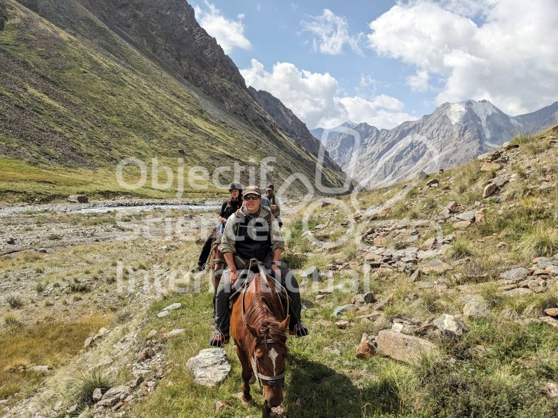 Keywords: paysage,chevaux