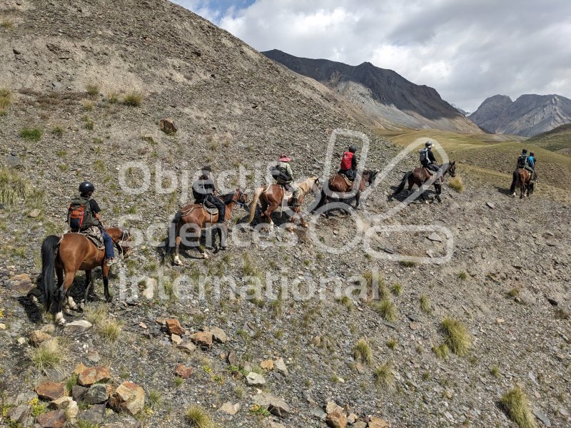 Keywords: paysage,chevaux alignés